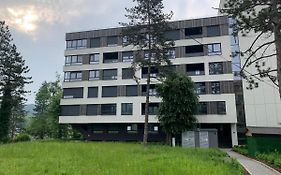 Park Lake Suite